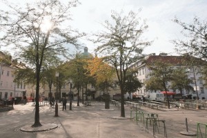 MOL na ustavnem sodišču izpodbija odlok o zaščiti tržnice