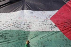 Levica v DZ za priznanje Palestine