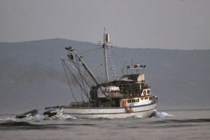 Hrvaško sodišče je slovenskega ribiča Radina in njegovo ženo oprostilo nezakonitega ribolova