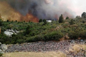 Med gašenjem požara v Arizoni umrlo 19 gasilcev