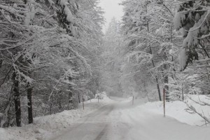 Meteorolog: Tako mrzlo konec marca ni bilo že 50 let
