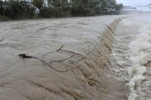 Reka Vipava poplavlja na Goriškem