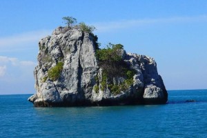 »Slovenija se v zadnjem času vede, kot da je otok in da ni del globalnega gospodarstva«