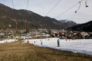 Zlata lisica v Kranjski Gori BO!
