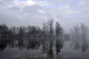 Ljubljanica poplavlja, Sava in Vipava znova v strugi