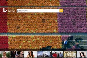 Tudi Microsoftov Bing uvaja pravico do pozabe