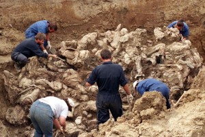 Štirim bosanskim Srbom skupaj 79 let zapora zaradi poboja Hrvatov in Bošnjakov
