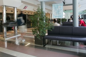 Anketna brezposelnost v prvem četrtletju 10,8-odstotna