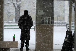 Anketa: Leto 2013 bo še slabše