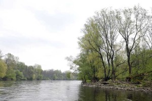 Burni odzivi na izjavo madžarskega državnega sekretarja o Muri kot meji med Slovenijo in Madžarsko