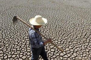 Temperature do konca stoletja navzgor za do 4,8 stopinje Celzija