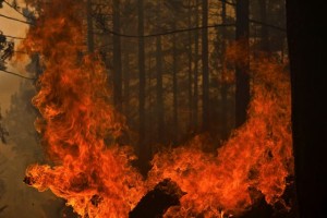 Požigalec zanetil vsaj pet požarov in dobil 1460 ur družbeno koristnega dela