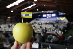 Anketa: Na volitvah bi danes zmagala SDS