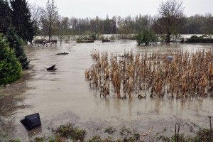 Spet dež, spet poplave! Krka, Ljubljanica, Savinja, Sava, Mura, Drava...