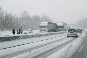 Nizke temperature po Evropi zahtevajo življenja