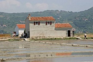 Za Sečoveljske soline bolj kot sprememba lastništva pomembna aktivnejša vloga države