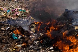 V središču Ljubljane shod proti sežigalnici v Mostah