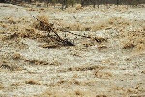Drava poplavlja po Mariboru; zaradi narasle Drave v Avstriji poplavljen Labot