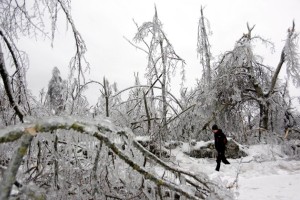 Doslej najhujši žledolom v Sloveniji le senca tokratnega