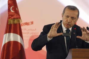 Erdogan: Med turškimi protestniki tudi teroristi
