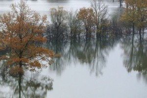 Žled, sneg, poplave: 2014, leto naravnih katastrof