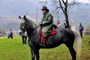 Na šentjernejskem blagoslovu konj dobrih 3000 obiskovalcev
