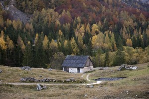 Nov kazenski postopek za Janšo - Trenta
