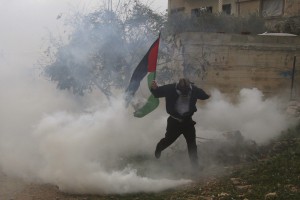 Erjavec za priznanje Palestine po volitvah v Izraelu