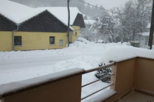 V jugovzhodni Sloveniji ponoči zapadlo od 20 do 30 centimetrov snega