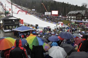 Zlata lisica v dveh dneh pod Pohorje privabila 24.000 gledalcev