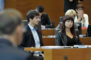 Združena levica: Ni razloga, da referenduma ne bi mogli preprečiti
