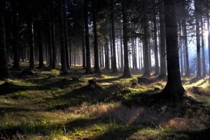 Nemški novinar peš iz Maribora do Monaka: 1300 kilometrov v stotih dneh