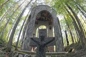 Kočevski rog, gozdna katedrala za več kot 600 prikritih morišč 