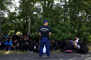EU o madžarskih ograji na meji: Šele nedavno smo v Evropi podrli zidove