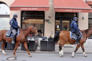 Policija za rabljena vozila iztržila 120.000 evrov, zdaj prodaja psa in konja