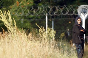Madžarska že gradi ograjo na meji s Srbijo
