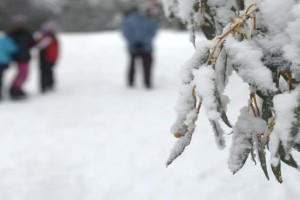 Evropa se kuha, v Avstraliji otroci celo prvič vidijo sneg