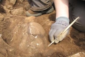Na novomeški Kapiteljski njivi končali letošnja arheološka izkopavanja
