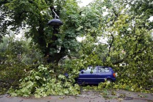Nevihte po državi podrle nekaj dreves, ponekod ostali brez elektrike
