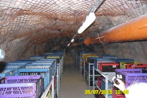 Pobitim v Hudi jami se je poklonilo 300 obiskovalcev