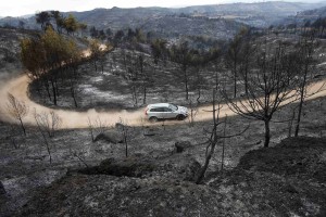V Španiji zaradi gozdnega požara evakuirali 2500 ljudi