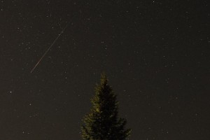 FOTO: Za nami čarobna noč, ste jih videli?