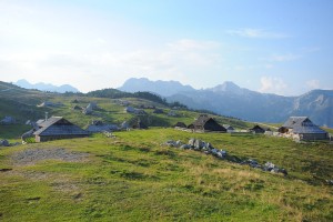 Lansko leto je bilo za Veliko planino rekordno