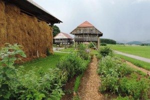 FOTO: Zeliščarski dan v Deželi kozolcev 