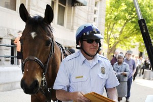 New York: Policijski konj odgriznil in izpljunil prst turistke