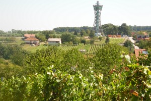 Vinarium, lendavski Eiffl: višje stopiš, dlje se vidi k sosedu