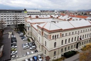 Nekateri državni organi v pol leta porabili že vsa sredstva za reprezentanco in še več