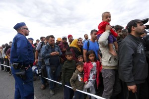Begunce, ki so po avtocesti pešačili proti Budimpešti, prepeljali nazaj v zbirni center