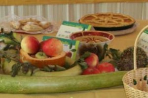 Delavnici o nevarnostih in priložnosti Dolenjske in Bele krajine