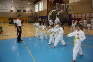 FOTO: Karate klub Brežice se predstavi 